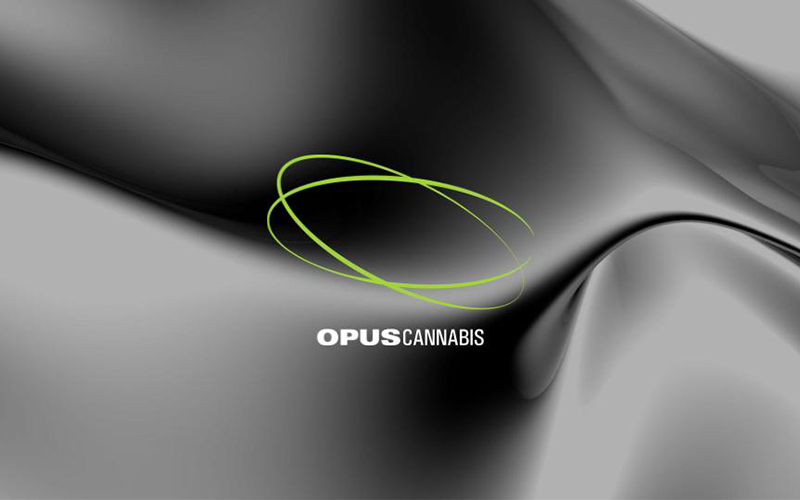 PREMIUM MARIJUANA PRODUCERS